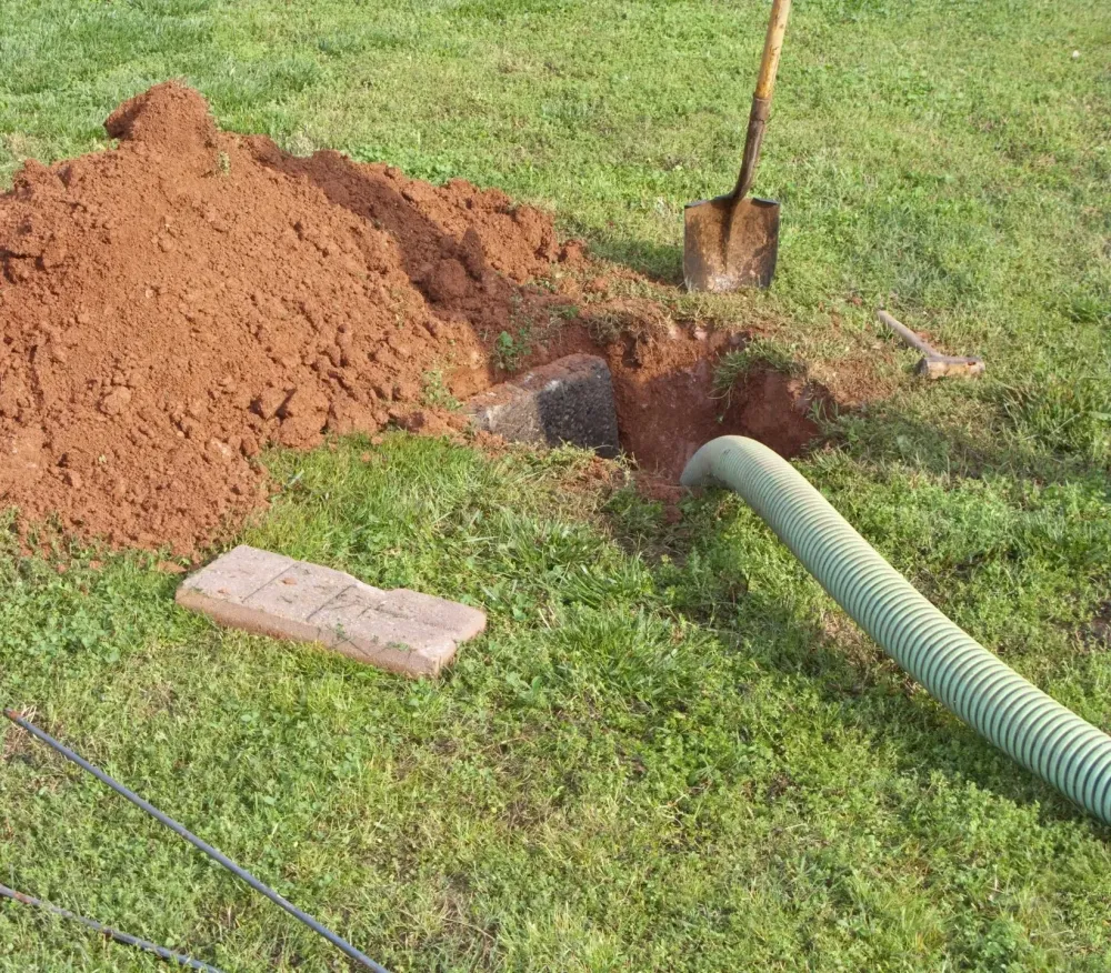 AVD environnement (17)