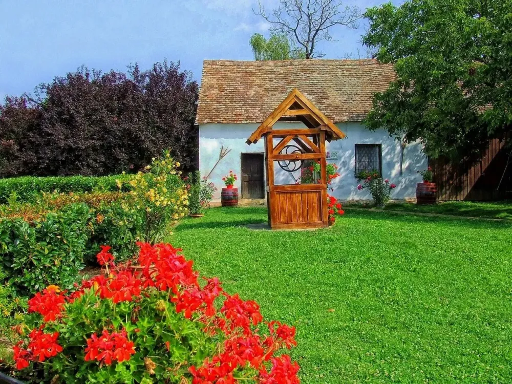 AVD environnement (22)