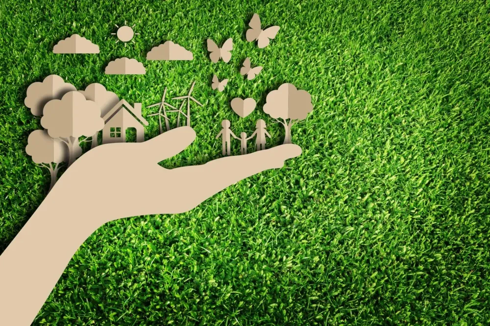 AVD environnement (35)